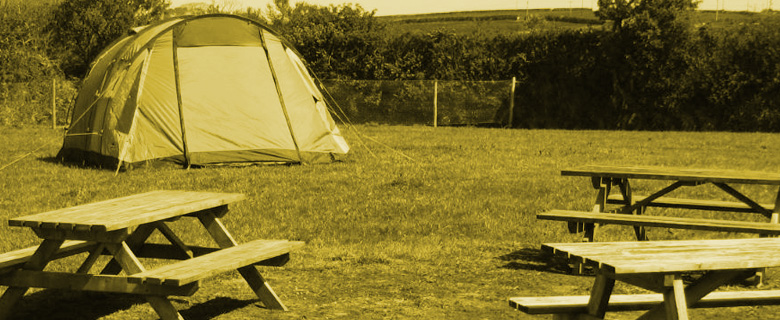 Camping at The Prince of Wales